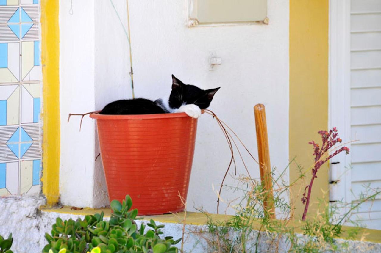 Charming Guia Villa 3 Bedroom Villa Private Pool And Close To Amenities Algarve Exterior photo